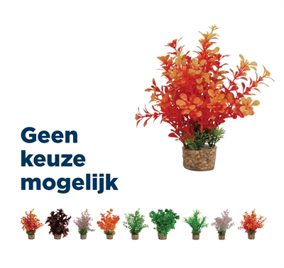 ZOLUX Ornament Plastic Plant Aquarium 20×10×10 cm – Vrolijk Assorti