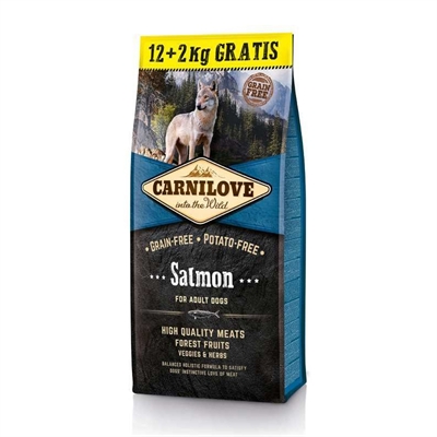 CARNILOVE CARNILOVE SALMON ADULT | 12+2 KG GRATIS